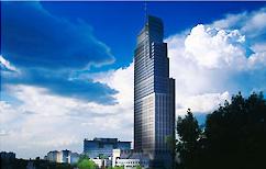 projektowanie serwis�w internetowych WWW